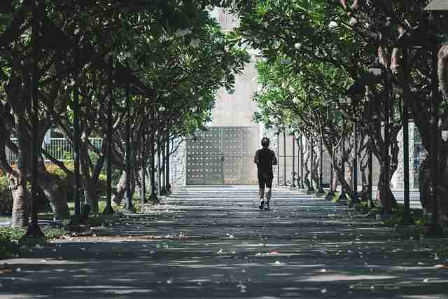 蘑菇视频电脑版——粉丝经济八卦速递快报